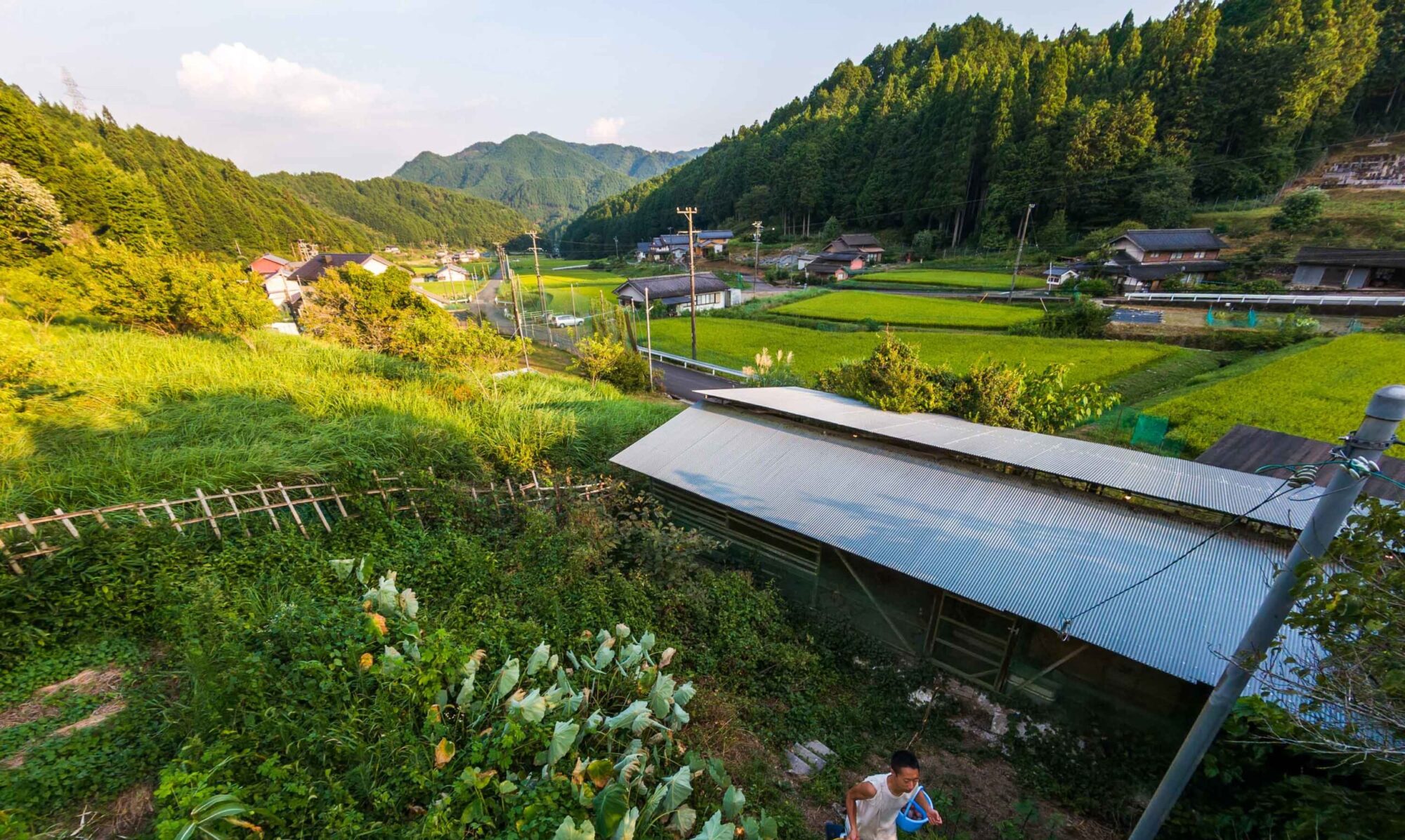 ノビノビファーム風景